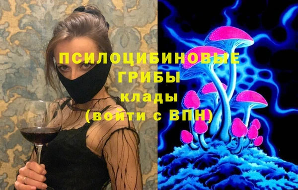 твердый Армянск