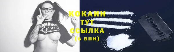 амф Аркадак