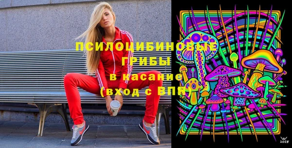 твердый Армянск