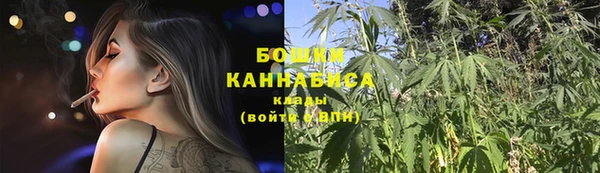 ГАЛЛЮЦИНОГЕННЫЕ ГРИБЫ Арсеньев