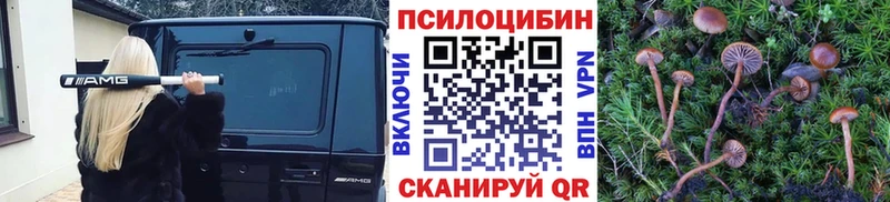 что такое Мелеуз Псилоцибиновые грибы GOLDEN TEACHER