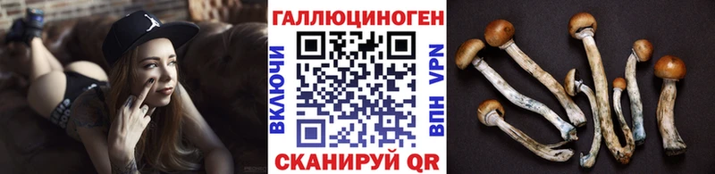 Галлюциногенные грибы Cubensis Мелеуз